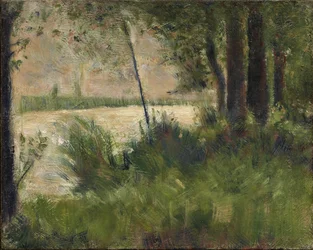 Grasbewachsener Flussufer